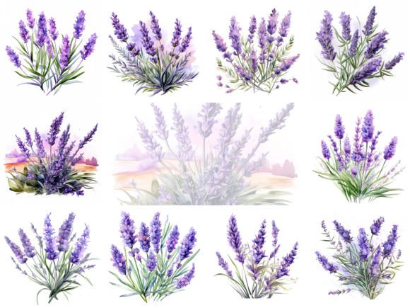Download Lavender Watercolor Flowers Clipart Set - Lavender Collection