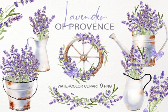 Download Watercolor Lavender Flower Illustration - Lavender Collection